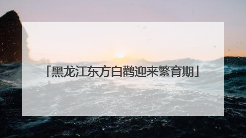 黑龙江东方白鹳迎来繁育期