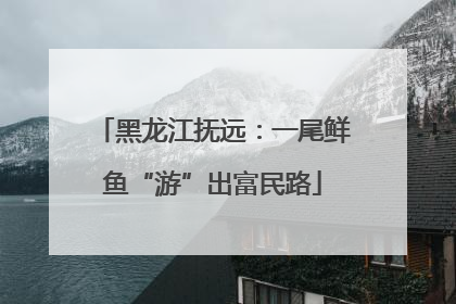 黑龙江抚远：一尾鲜鱼“游”出富民路