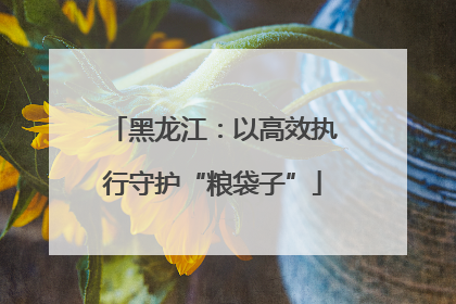 黑龙江：以高效执行守护“粮袋子”
