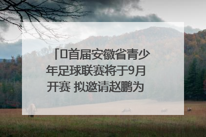 ﻿首届安徽省青少年足球联赛将于9月开赛 拟邀请赵鹏为先导赛开球