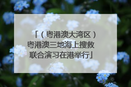 （粤港澳大湾区）粤港澳三地海上搜救联合演习在港举行