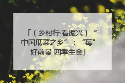 （乡村行·看振兴）“中国瓜菜之乡”：“莓”好前景 四季生金