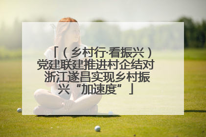 （乡村行·看振兴）党建联建推进村企结对 浙江遂昌实现乡村振兴“加速度”