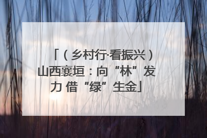 （乡村行·看振兴）山西襄垣：向“林”发力 借“绿”生金