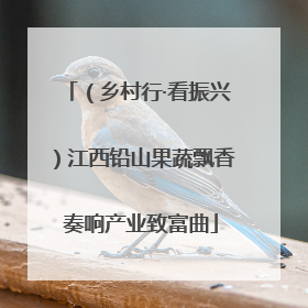 （乡村行·看振兴）江西铅山果蔬飘香 奏响产业致富曲
