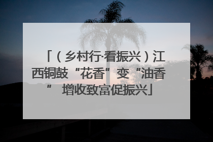 （乡村行·看振兴）江西铜鼓“花香”变“油香” 增收致富促振兴