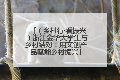 （乡村行·看振兴）浙江金华大学生与乡村结对：用文创产品赋能乡村振兴