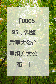 000595，调整后重大资产重组方案公布！