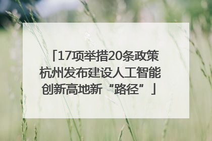 17项举措20条政策 杭州发布建设人工智能创新高地新“路径”