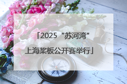 2025“苏河湾”上海桨板公开赛举行