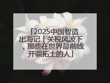 2025中国智造出海记丨关税风波下，那些在世界最前线开疆拓土的人
