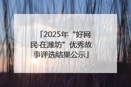 2025年“好网民·在潍坊”优秀故事评选结果公示