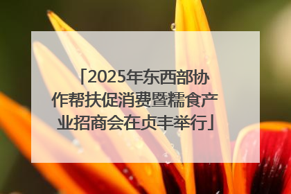 2025年东西部协作帮扶促消费暨糯食产业招商会在贞丰举行