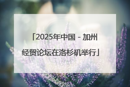 2025年中国－加州经贸论坛在洛杉矶举行