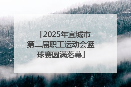 2025年宜城市第二届职工运动会篮球赛圆满落幕
