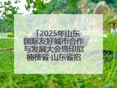 2025年山东国际友好城市合作与发展大会暨印尼楠榜省·山东省招商交流会在济南槐荫举行