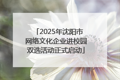 2025年沈阳市网络文化企业进校园双选活动正式启动