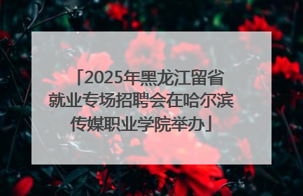 2025年黑龙江留省就业专场招聘会在哈尔滨传媒职业学院举办