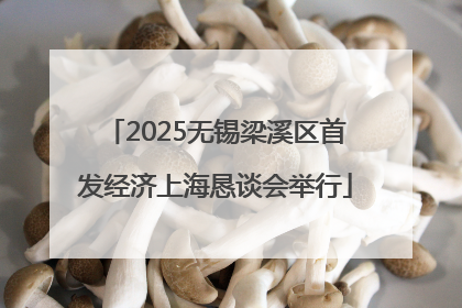 2025无锡梁溪区首发经济上海恳谈会举行