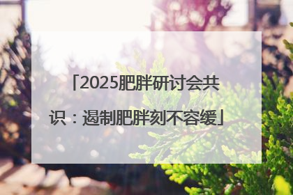 2025肥胖研讨会共识：遏制肥胖刻不容缓
