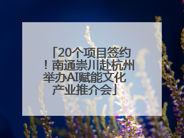 20个项目签约！南通崇川赴杭州举办AI赋能文化产业推介会