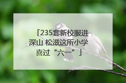 235套新校服进深山 松滋这所小学喜过“六一”
