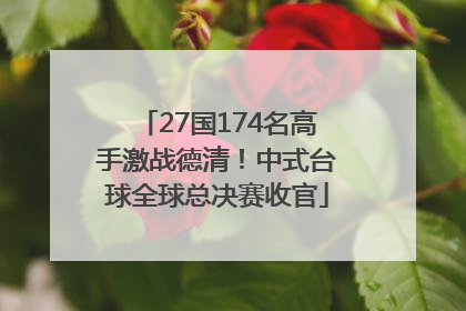 27国174名高手激战德清！中式台球全球总决赛收官