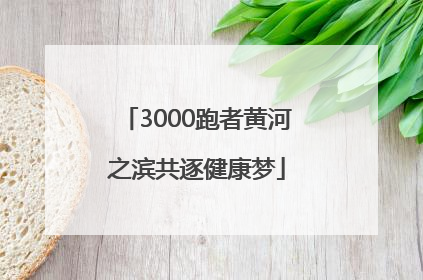 3000跑者黄河之滨共逐健康梦