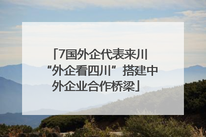 7国外企代表来川 “外企看四川”搭建中外企业合作桥梁