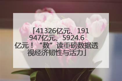 41326亿元、191947亿元、5924.6亿元！“数”读重磅数据透视经济韧性与活力