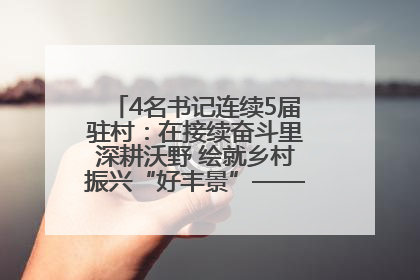 4名书记连续5届驻村：在接续奋斗里深耕沃野 绘就乡村振兴“好丰景”——浦发银行南京分行助力脱贫攻坚、帮促乡村振兴记事（二）