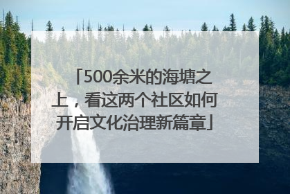 500余米的海塘之上，看这两个社区如何开启文化治理新篇章