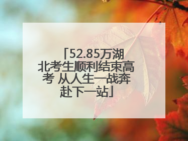 52.85万湖北考生顺利结束高考 从人生一战奔赴下一站
