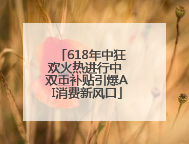 618年中狂欢火热进行中 双重补贴引爆AI消费新风口