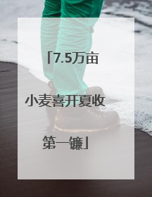 7.5万亩小麦喜开夏收第一镰