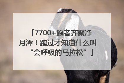 7700+跑者齐聚净月潭！跑过才知道什么叫“会呼吸的马拉松”